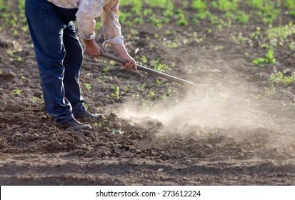 Green Touch Weeder Remover,Grass Remover,Garden Grass Remover,Farm lawn Reor Tiller,Agutter,DiiggingTmover Agricuture hoe,Garden Gardeningricuture Garden Axe,Grass Cutter Curved Pruner,Wooden Cutter,Fish C, (Agri Hoe Without handle)