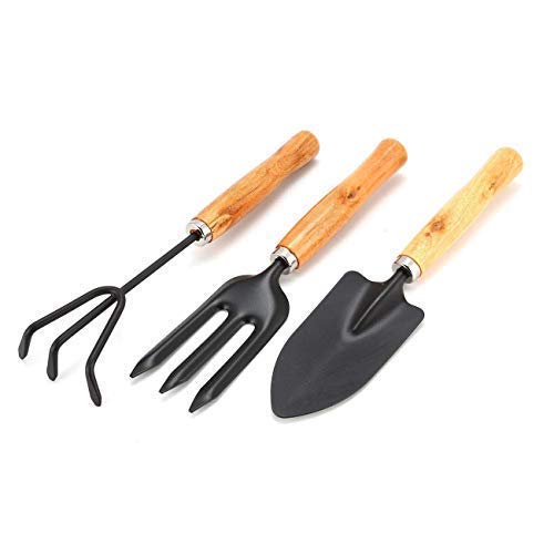 Green Touch 3 Pcs Mini Garden Tool Set Gardening Shovels, Spade, Rale with Wooden Handles with Hand Gloves