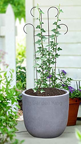 Green Touch Heavy Gauge Plant Support,Plant Straightener,Plant Support Sticks,Plant Climb,Creeper Plant Support,Money Plant Support Stand,Plant Climbing Support,Support Sticks for Plants (Plant Support F)
