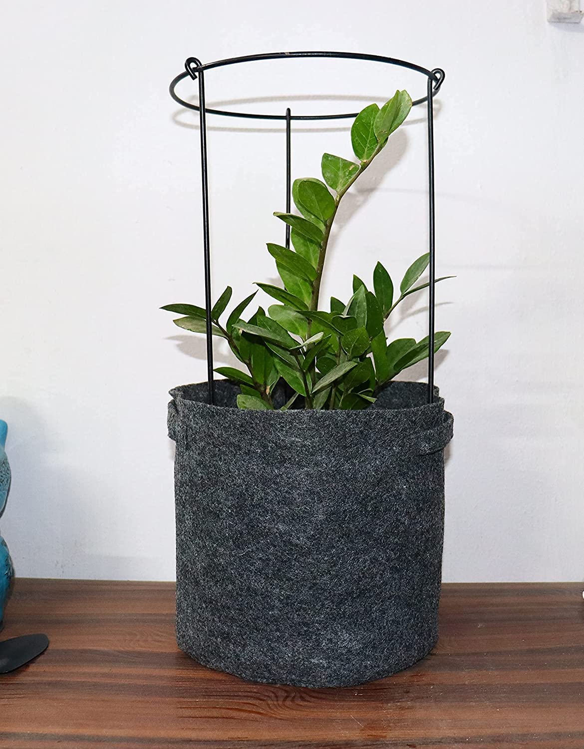 Green Touch Pack of 3 Heavy Gauge Plant Support,plant straightener,plant support sticks,Plant Climb,creeper plant support,money plant support stand,plant climbing support,support sticks for plants (Plant Support B)