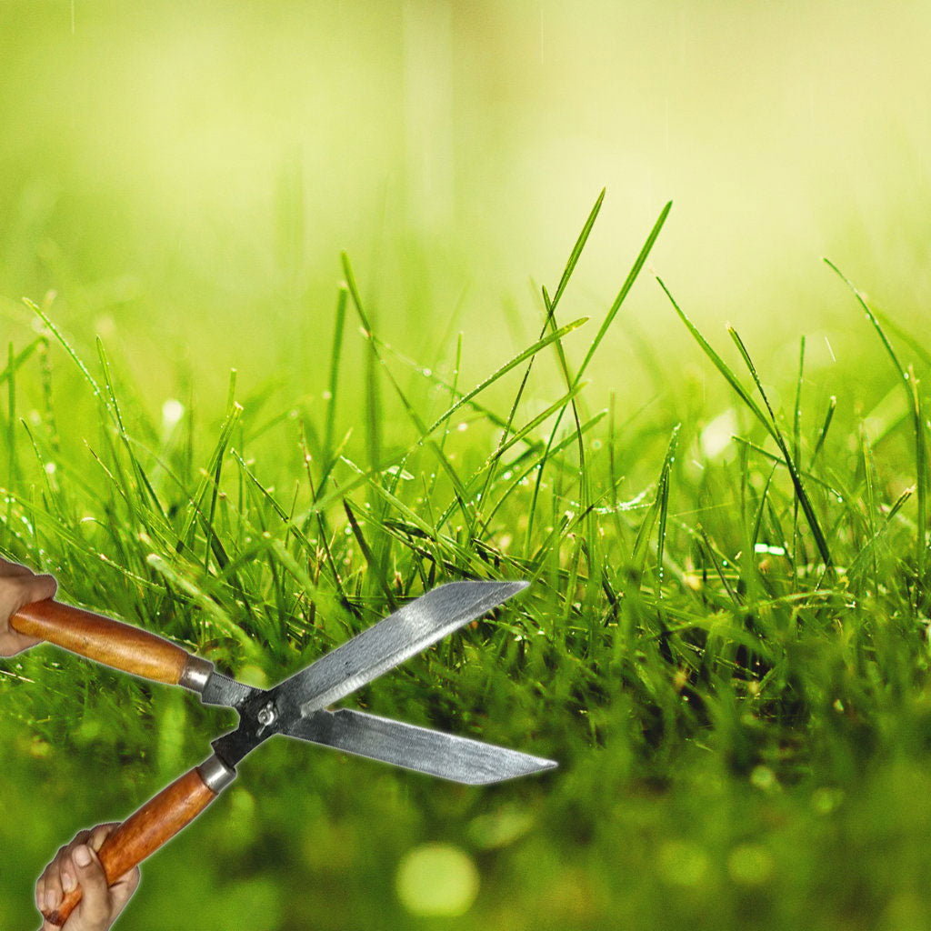 "Green Touch: Hedge Shear & Manual Grass Cutter Essentials"
