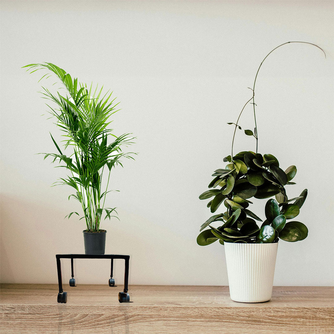 Pack Of 2 Decorative Planter Stand For Indoor and outdoor,Home,Kitchen,Terrace,Garden,Office,Schools,Hotel,restaurants,stands For Balcony/ Multipurpose Use. Visit the A to Z Hub Store