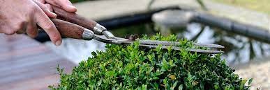 Green Touch  Hegde shear Grass Cutter,Lawn Cutter,Garen cutter,Plant Cutter,Grass Trimmer,plant cutter,hedge cutter garden grass cutter,garden scissor,tree cutter,plants cutter tools (Hedge Shear Small)