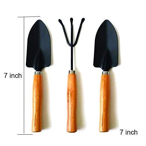 Green Touch 3 Pcs Mini Garden Tool Set Gardening Shovels, Spade, Rale with Wooden Handles with Hand Gloves