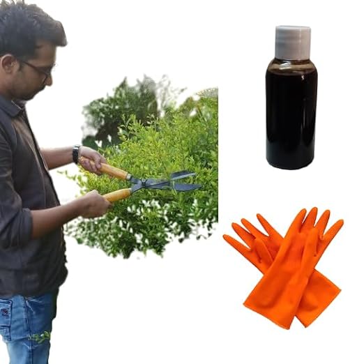 Green Touch  Pack of 3 Useful Gardening Tools and Scissor Combo with Oil (Oil is Useful for Rust Free Scissor) for Home Gardening Purpose,Tree Cutting Tool,Lawn Cutter Tool,Hedge Shear,Gloves,Oil