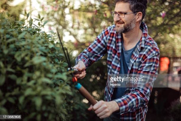 Green Touch  Hegde shear Grass Cutter,Lawn Cutter,Garen cutter,Plant Cutter,Grass Trimmer,plant cutter,hedge cutter garden grass cutter,garden scissor,tree cutter,plants cutter tools (Special Hedge Shear)