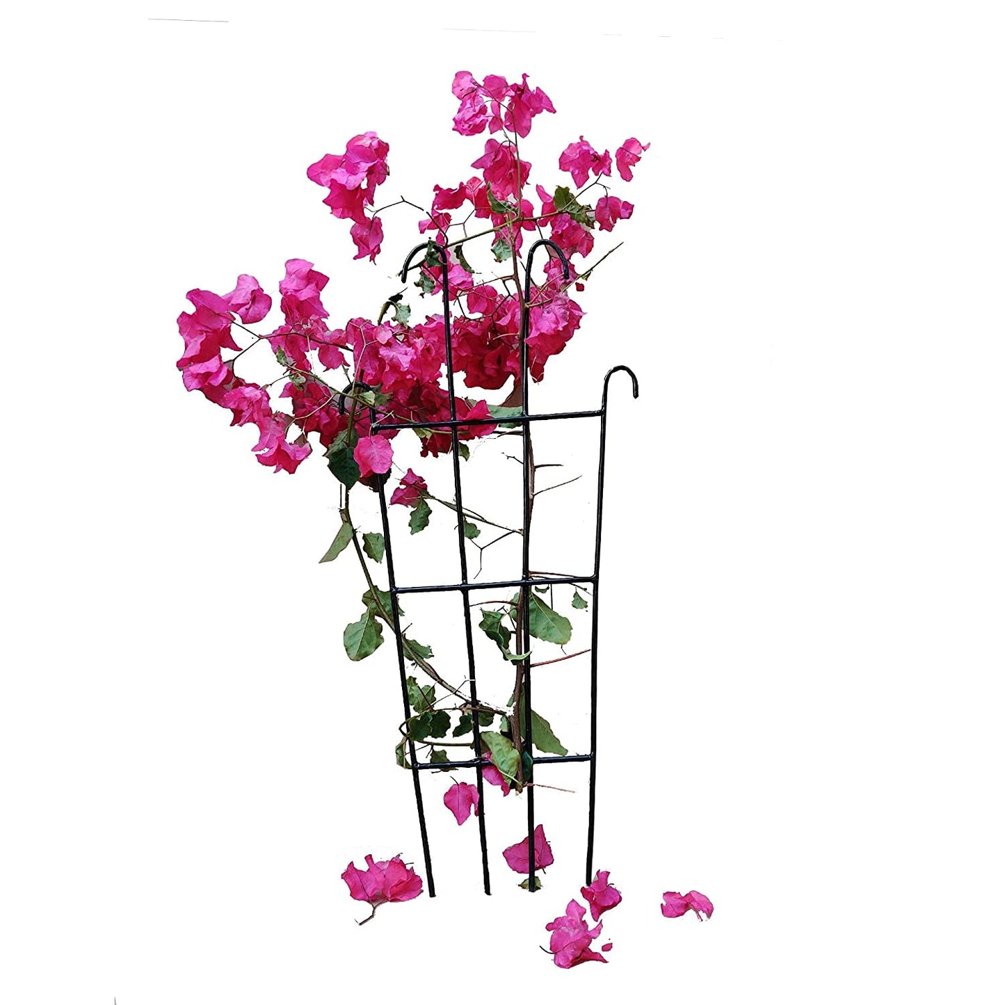 Green Touch  Heavy Gauge Plant Support,Plant Straightener,Plant Support Sticks,Plant Climb,Creeper Plant Support,Money Plant Support Stand,Plant Climbing Support,Support Sticks for Plants (Plant Support E)