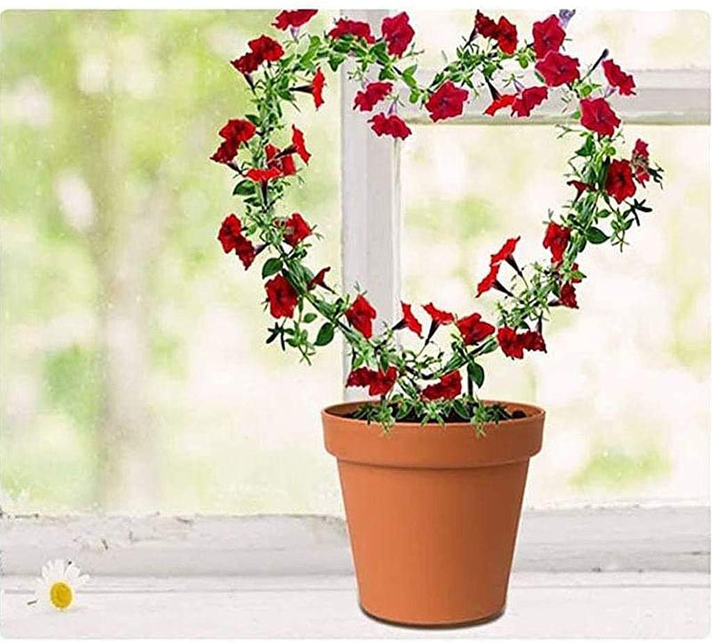 green touch  Spe. Edition Decorative Heart Shape Planter Stand,Plant Supporter,Plant Climber,Plant Decore,Garden Decore plant straightener For Home,Kitchen,Terrace,Garden