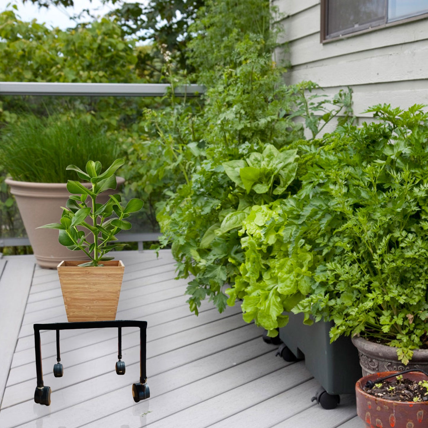 8-Pack Rolling Plant Stands, Black with Wheels, Perfect for Indoor/Outdoor Use