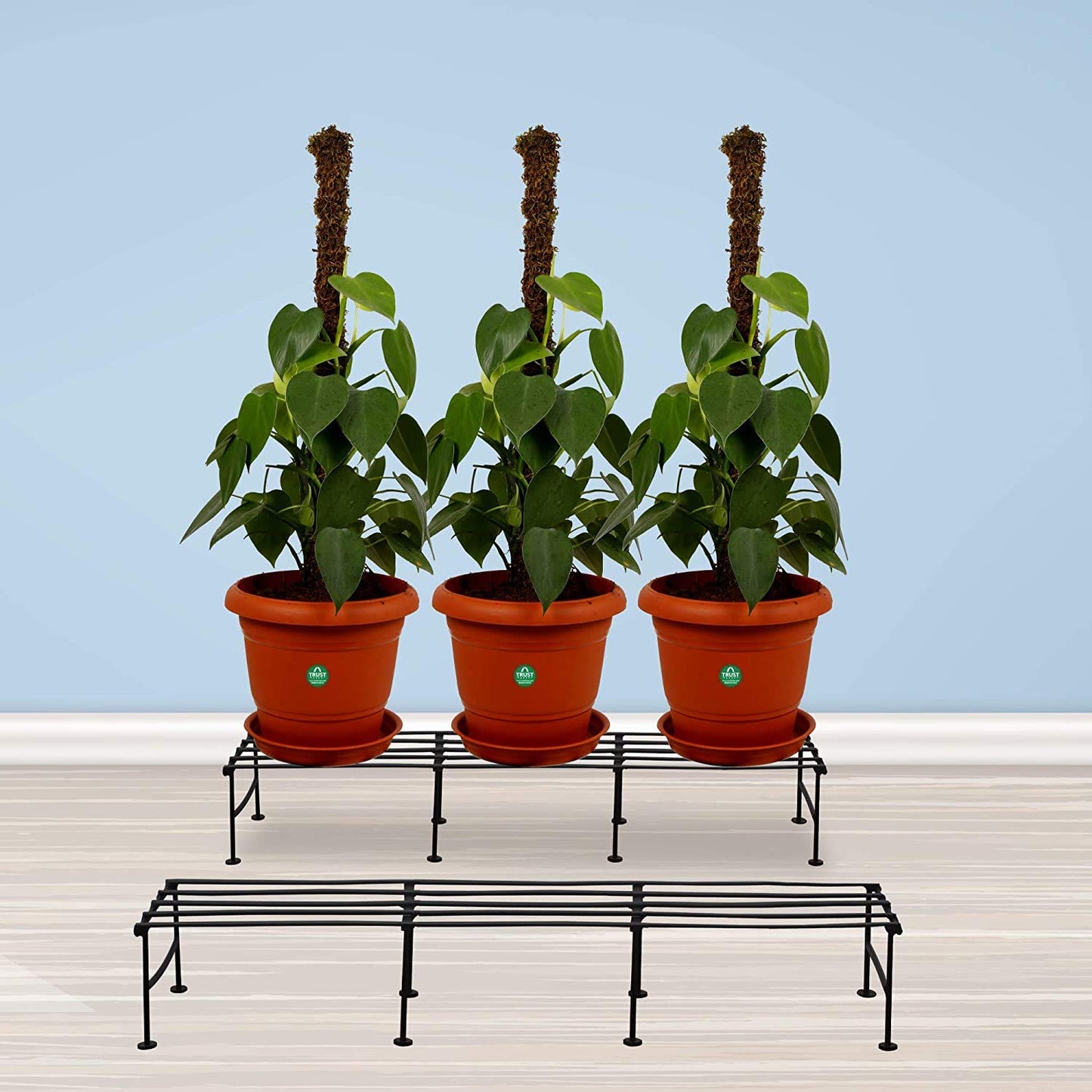 Green Touch Iron Indoor/Outdoor Flower Pot/Plant/Gamala Stand for Home Garden Balcony/Office/Company/Industries/Living Room/Hotel/Bar Decor (Black-Set of 8)