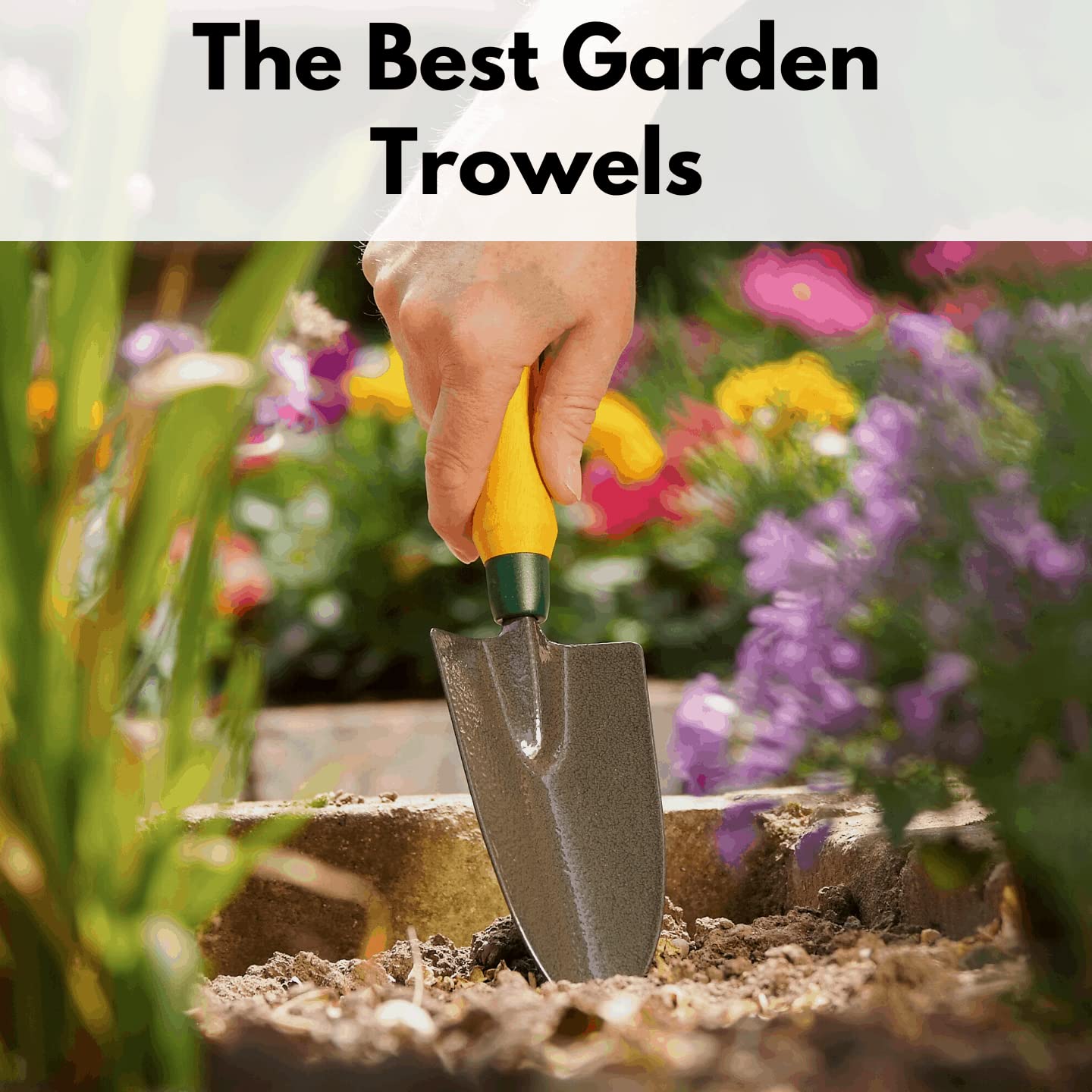 Green Touch  Pack of 3, Garden Lawn Cutter, Trowel Digging Toool And Double Roll Cutter, Premium Heavy Dute Garden Grass Cutter with Wooden Handle,Hedge Shear,Lawn Cutter,Garden Pruner,Kassi,Tree Cutter,Gardening tool for cutting, (Double cut and Trowel)