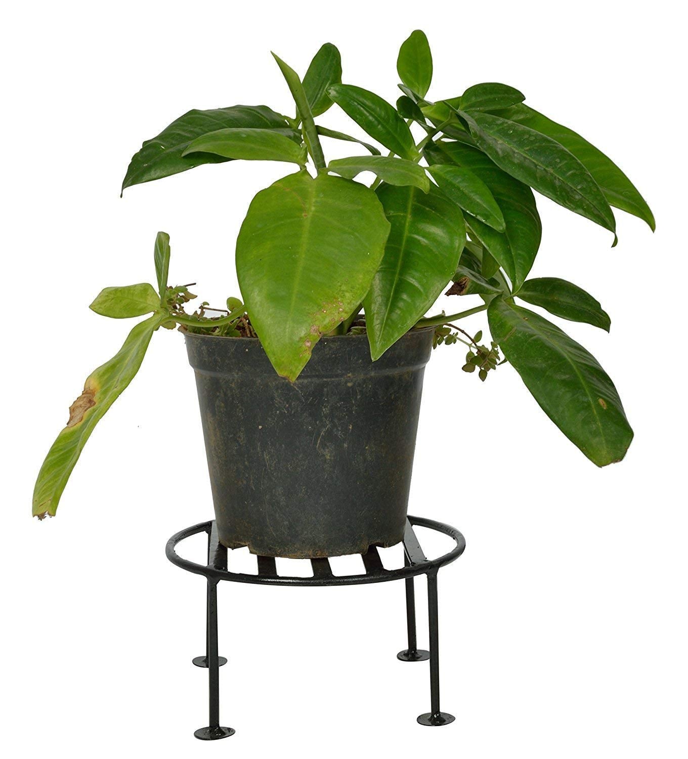 Green Touch Pack of 4 Iron Indoor/Outdoor Flower Pot/Plant Stand for Home Garden Balcony Living Room Decor(Black)