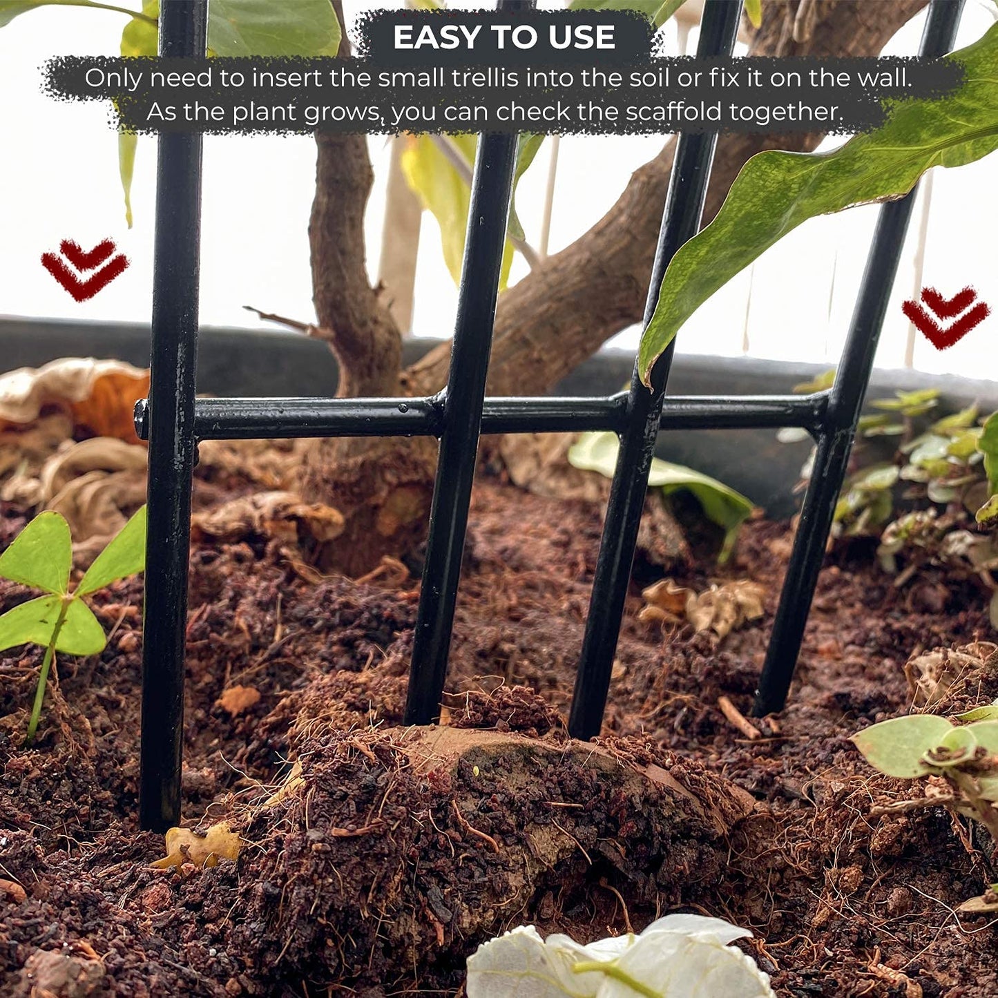 Green Touch  Heavy Gauge Plant Support,Plant Straightener,Plant Support Sticks,Plant Climb,Creeper Plant Support,Money Plant Support Stand,Plant Climbing Support,Support Sticks for Plants (Plant Support C)
