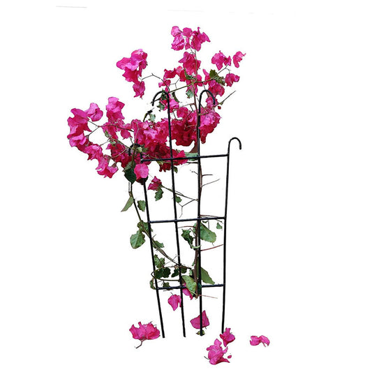 Green Touch  Heavy Gauge Plant Support,Plant Straightener,Plant Support Sticks,Plant Climb,Creeper Plant Support,Money Plant Support Stand,Plant Climbing Support,Support Sticks for Plants (Plant Support C)