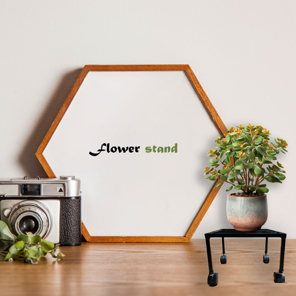 8-Pack Rolling Plant Stands, Black with Wheels, Perfect for Indoor/Outdoor Use
